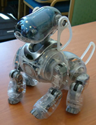 Sony's 'Crystal' is an Aibo (Artificial Intelligence RoBOt) prototype.