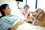 Animal therapy reduces pain medication intake, researchers find