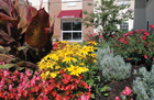 Design decisions: planting and maintaining a facility garden
