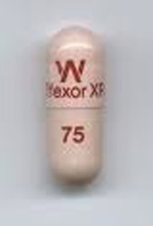 FDA approves first generic Effexor extended release capsules for major depressive disorder