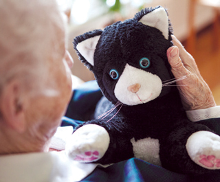 JustoCat was given to residents with dementia in Sweden.