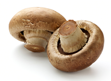 Wild mushrooms kill two senior care residents