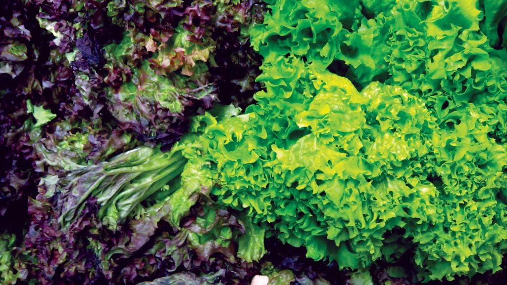 Diets lacking in fruits and vegetables cause millions of cardiovascular deaths