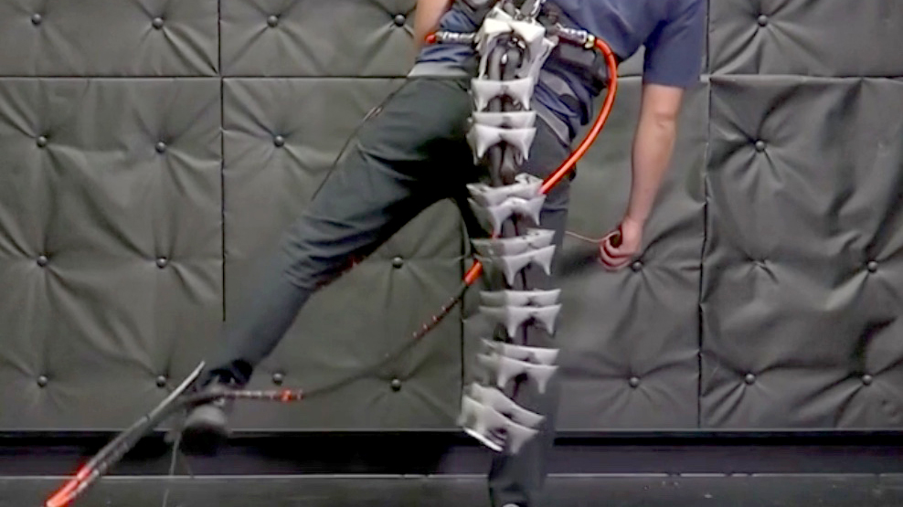 Robotic tail could help off-balance elderly stay upright