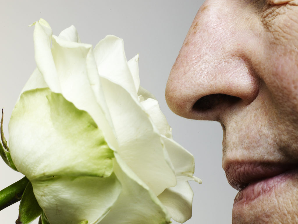 Seniors’ sense of smell weakens, but not their enjoyment of food, researchers find