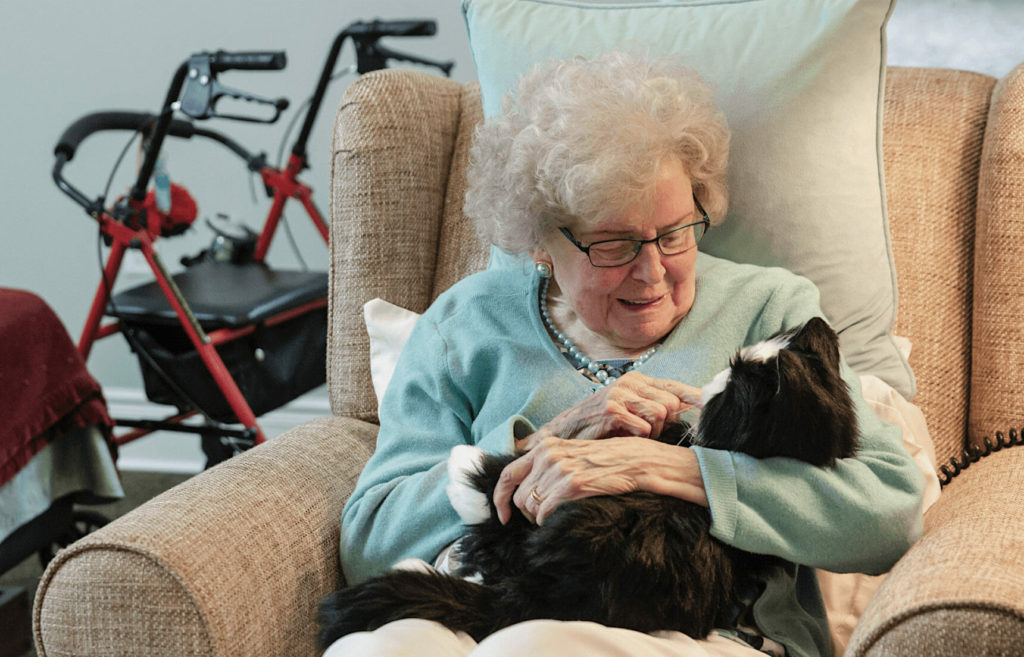 Here, Fido! Two states distribute robotic pets to curb seniors’ social isolation during pandemic