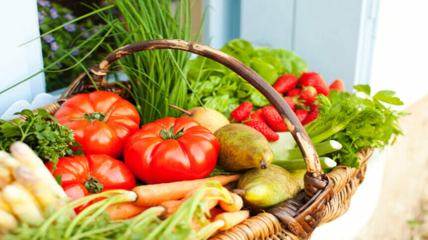 Basket of fruits and vegetables