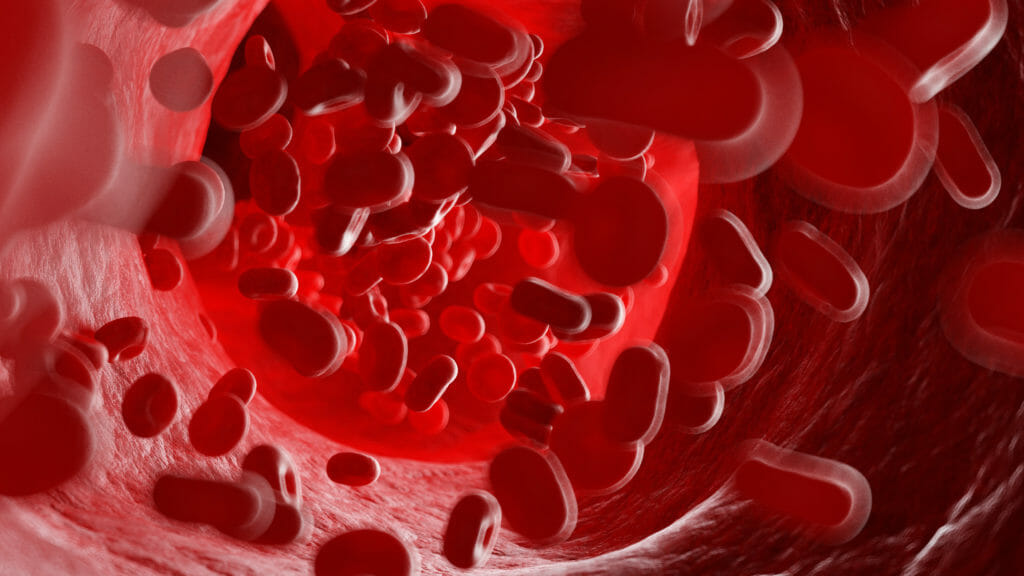 Anticoagulants tied to 43 percent lower risk of COVID hospitalization