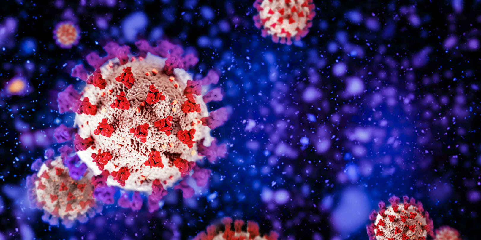 More than half of Americans now have antibodies against COVID-19, CDC reports