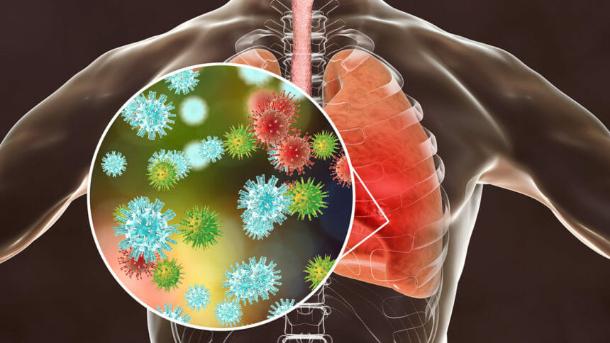Artist's rendering of patient's lungs with closeup of virus