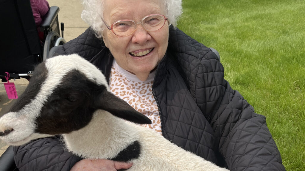 Long-term care facility goes wild for petting zoo